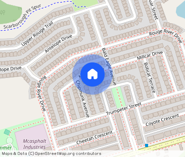 55 Millcar Drive #BSMT - Photo 1