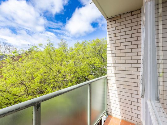 Studio apartment in the Heart of Glebe - Photo 1