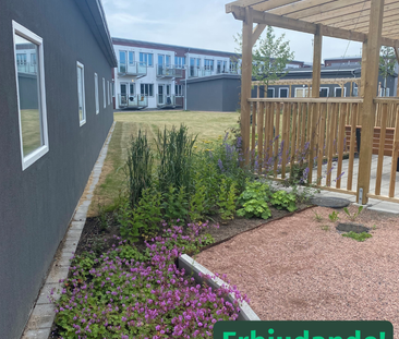 Panelgatan 46, Kristineberg - Foto 2