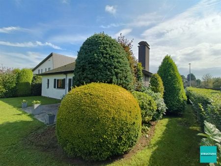 Karaktervolle bungalow in rustige wijk, energetisch gerenoveerd. - Foto 3