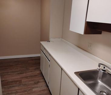 Forest Manor Ground Floor One Bedroom with Large Patio - Photo 5