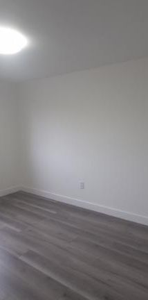 5 1/2 - Montréal - 1 575 $/mois - Photo 1