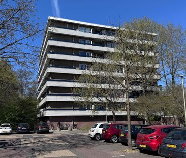 Marne 27 1186 PA Amstelveen - Photo 4