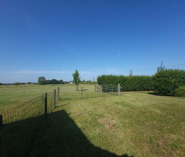 Alleenstaande woning met grote weide en stalling - Photo 3