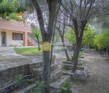 Διαμέρισμα για ενοικίαση Θεολόγος (Μαλεσίνα) - Photo 5