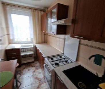 Tychy, Z - Mieszkanie na wynajem - Photo 1