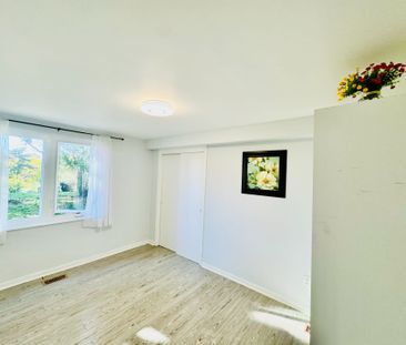 For Lease - 272 Essex (Work Out Basement) Avenue, Richmond Hill, On... - Photo 4