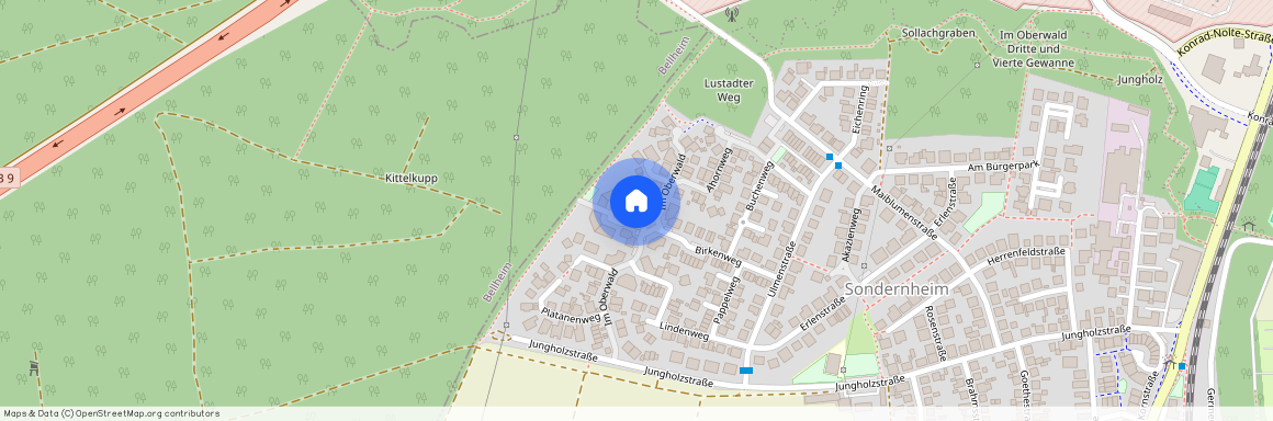 Im Oberwald 44, 76726 Germersheim