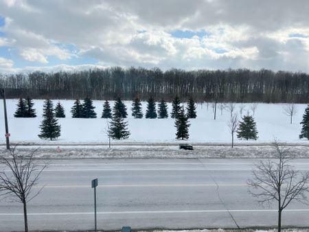 For Lease - 936 Castlemore Avenue, Markham, Ontario - Photo 5