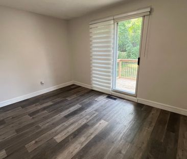 For Lease - 87 Walter Avenue Unit# MAIN, Newmarket, Ontario - Photo 2