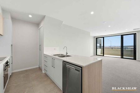 Modern North-Facing Townhouse - Photo 5