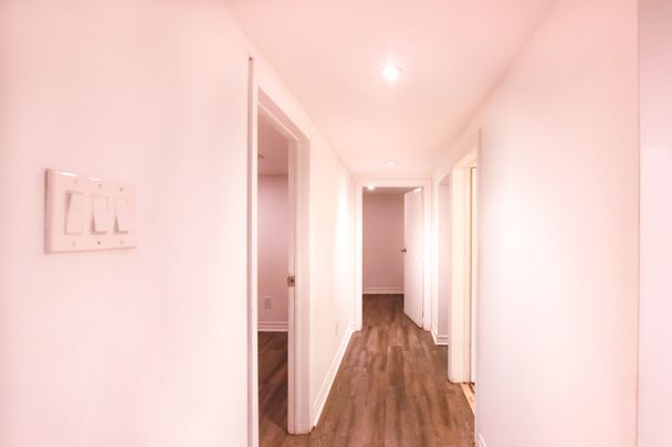 For Lease - 62 Belvidere Avenue Unit# Lower, Toronto, Ontario - Photo 1