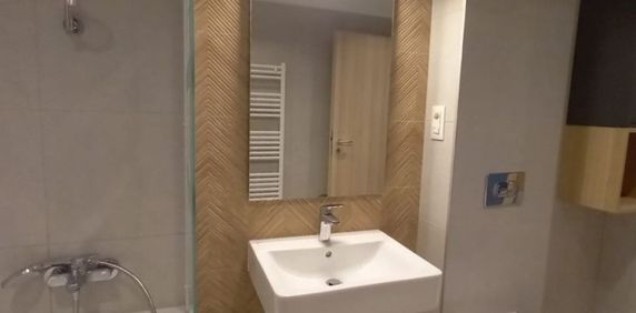 Garsoniera de inchiriat in zona Tineretului, - Fotografie 2