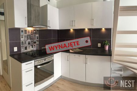 Do wynajęcia dwupoziomowy apartament 37m2 ul. Potulicka - Photo 3