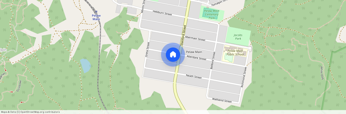 38B Aberdare Street, Pelaw Main, NSW