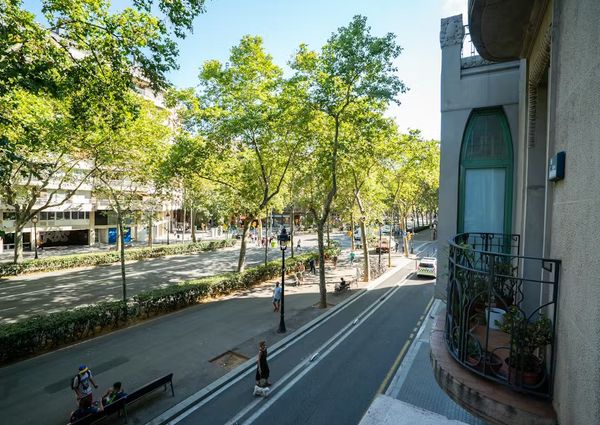 Gran Via de les Corts Catalanes, Barcelona, Catalonia 08007