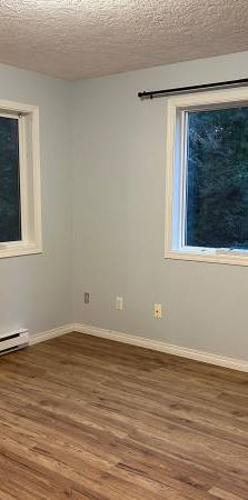 $2,100 (heat & hydro included) 2 bed + 1 bath Lower Suite - Photo 1