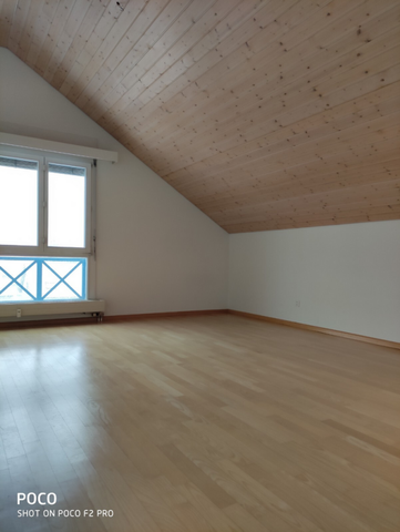Aussergewöhnliche Dachwohnung - Photo 3