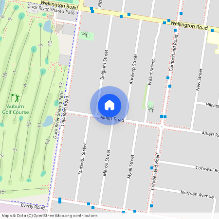 51 ALBERT ROAD, NSW 2144, Auburn