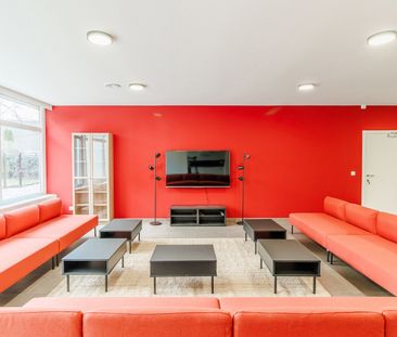 Gerenoveerde studentenkamers & studio’s - Foto 2