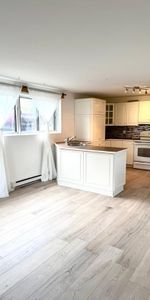 Apartment 3 1/2 for rent - Photo 3