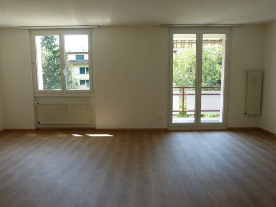 3.5-room apartment in Pratteln - Photo 1