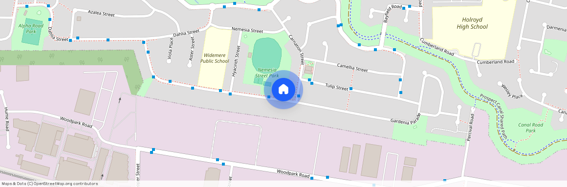 84 GARDENIA PARADE, NSW 2145, Greystanes