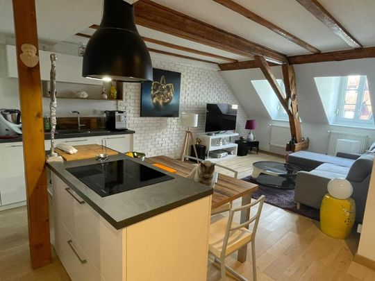 Location Appartement Meublé 59m² STRASBOURG 67000 - Photo 1
