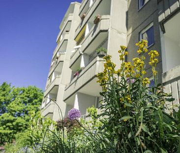 3-Raum-Wohnung mit guter Verkehrsanbindung - Photo 4