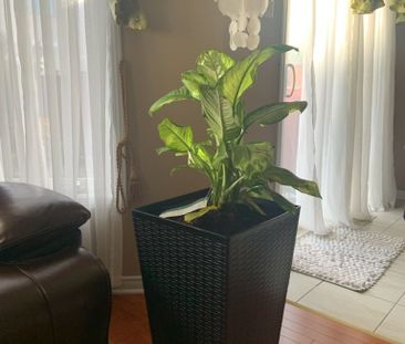 For Lease - 115 Macara Crescent, Kanata, Ontario - Photo 3