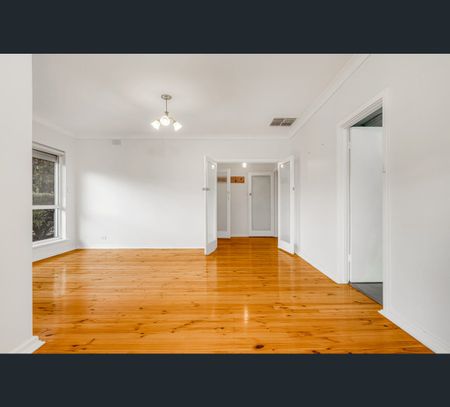 5 Meg Court, Modbury, SA 5092 - Photo 5