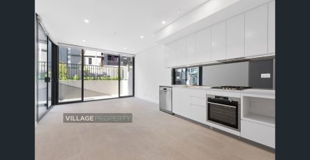 321B/118 Bowden Street, Meadowbank, NSW 2114 - Photo 3