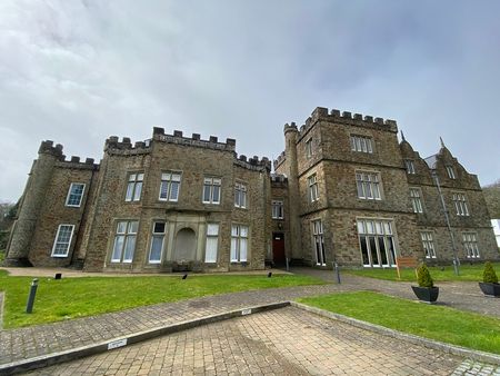 Clyne Castle, Mill Lane, Blackpill, Swansea, SA3 - Photo 5