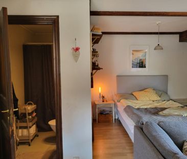 Rosenbäcksallén, Härnösand - Foto 6