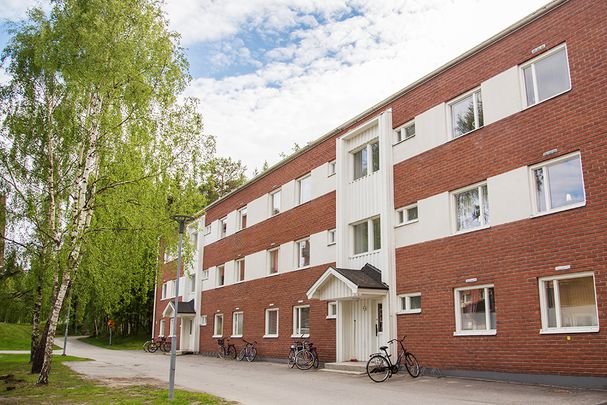 Ankarskatavägen 91 B, 94134, Piteå - Foto 1