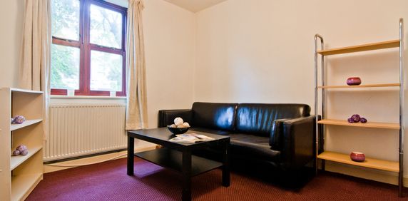 1 Bedroom Apartment - Photo 2