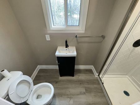 Central Barrie: Newly Renovated 1 Bed, 1 Bath Unit, Wellington St. West - Photo 2