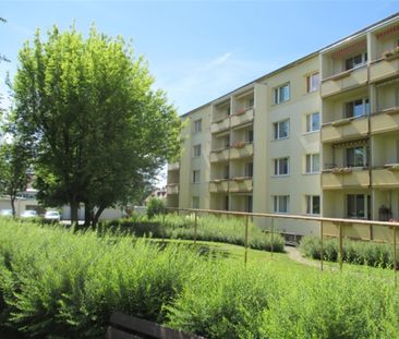 Ruhig gelegene 3-Raum-Wohnung im Grünen - Foto 1