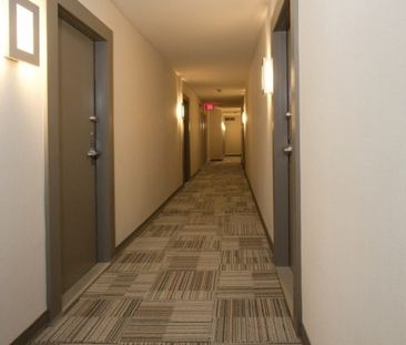 Appartement à louer - Montréal (Outremont) Appartement à louer - Mo... - Photo 4