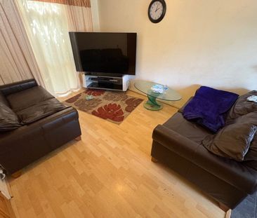 Thorn Hill - Photo 3