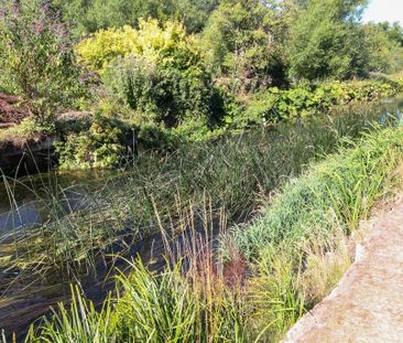 2 bedroom ground floor maisonette to rent - Photo 6