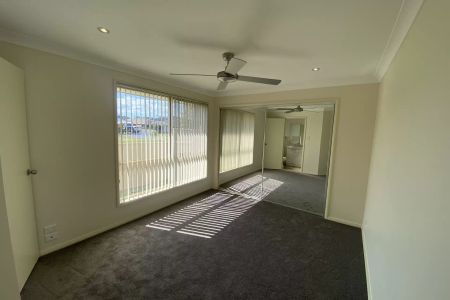 Search No More - Photo 3