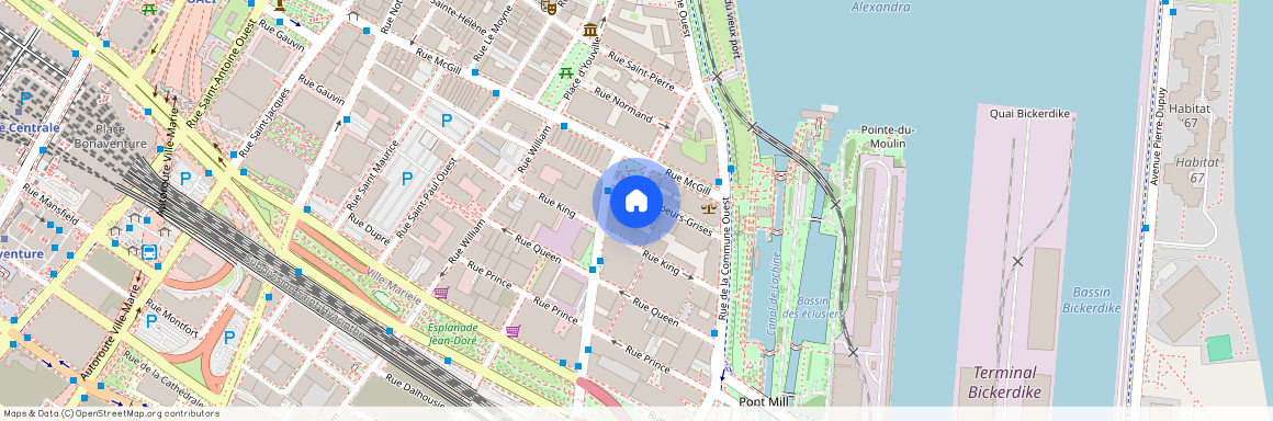 72 Rue des Soeurs-Grises, Montréal (Ville-Marie), H3C2P8