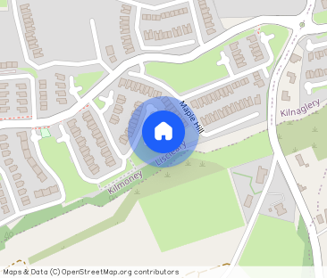 42 Meadow Walk,Castle Heights,Kilmoney,Carrigaline, Carrigaline, Co... - Photo 1