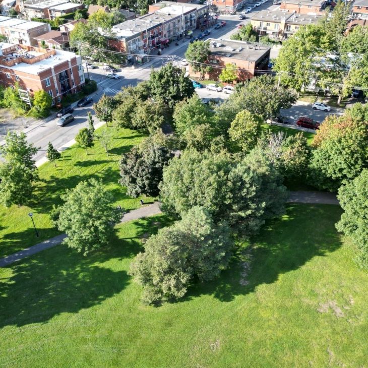 10245 Rue D'Iberville, H2B 2T7, H2B 2T7, Montréal - Photo 1