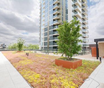 Studio to rent - Photo 6