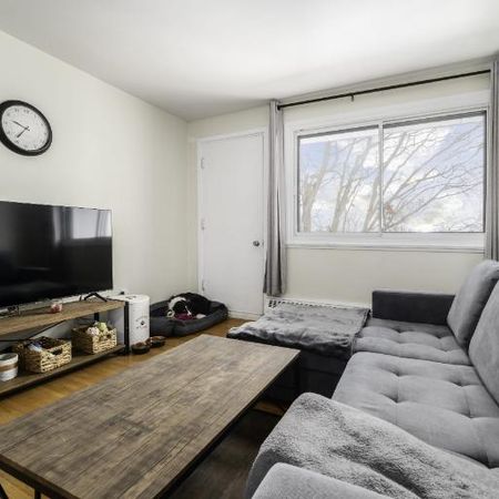 Appartement 3 ½ à louer Sainte-Foy / Sillery décembre 2025 - Photo 3