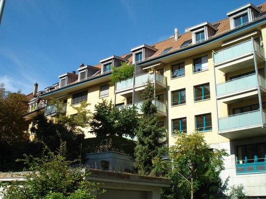 2.5 Zimmer Wohnung - Foto 1