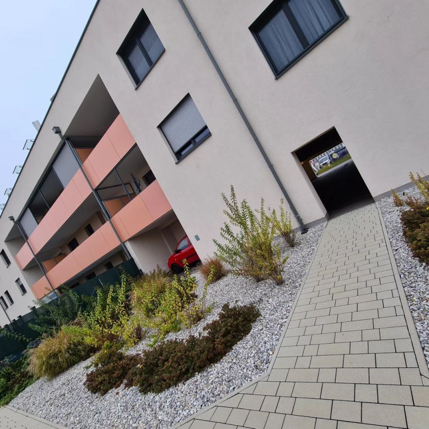 2 Zimmer-Gartenwohnung mit Kaufoption 3_3 - Foto 1
