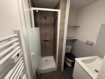 Location Appartement 3 pièces 47 m2 à Lavelanet - Photo 5